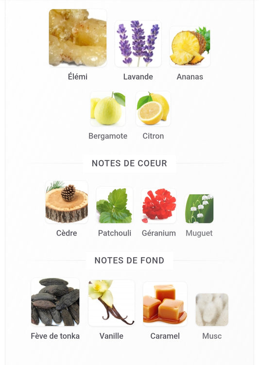 Hunter MAISON ASRAR