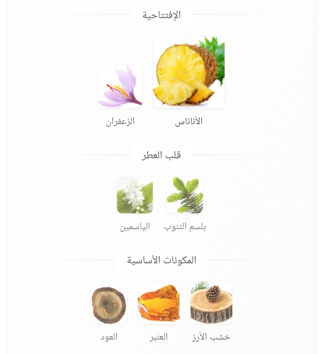Qaed Al Fursan Lattafa