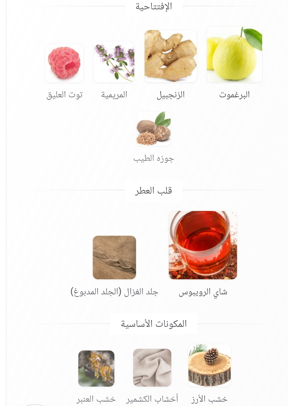 Dynasty Lattafa Perfumes للجنسين