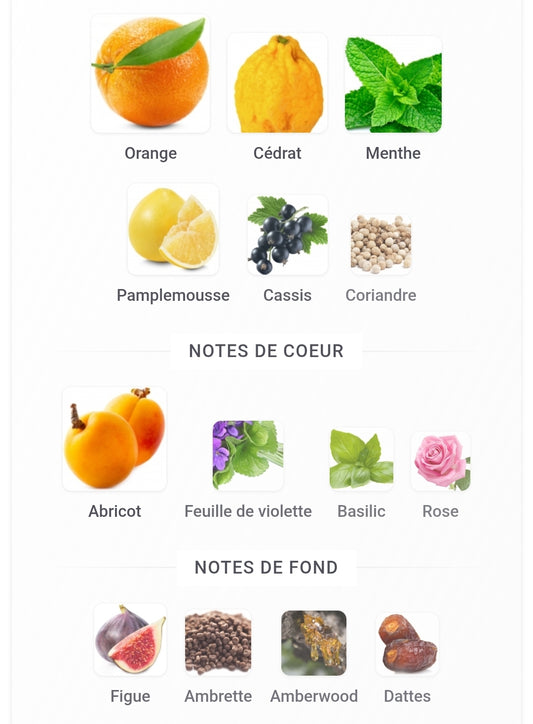 Rare Reef Afnan pour homme et femme