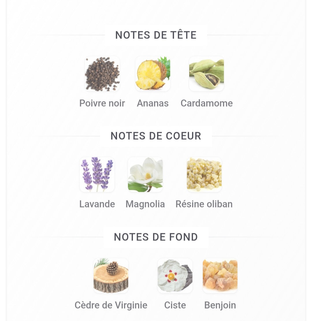 Writer Anonymous Paris Bleu Parfums