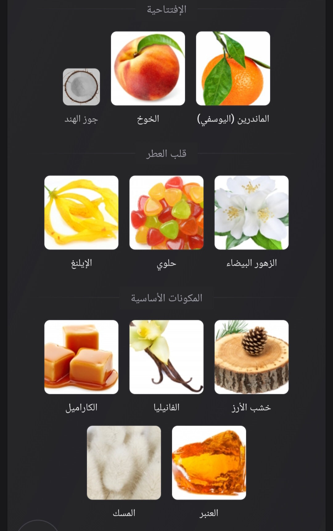 Hayaati Rose Fragrance World للنساء