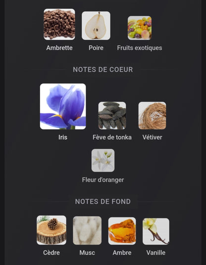 Idole La Nuit